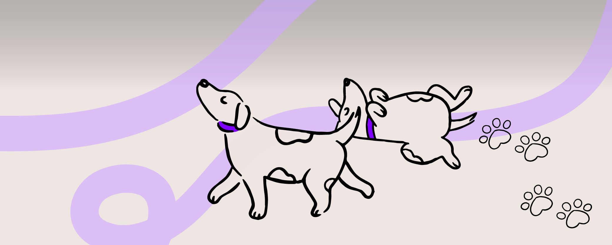 Disfrutá de El Solar con tu mejor amigo. El Solar Shopping